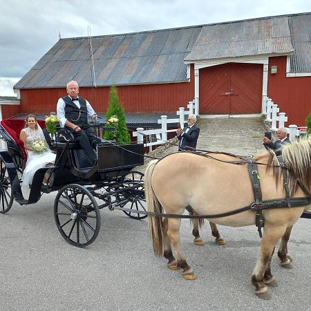 Hotell Eikerapen Gjestegard Aseral Fossdal Exterior foto